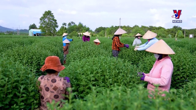 春节临近 平定省花村“年味浓” ảnh 1