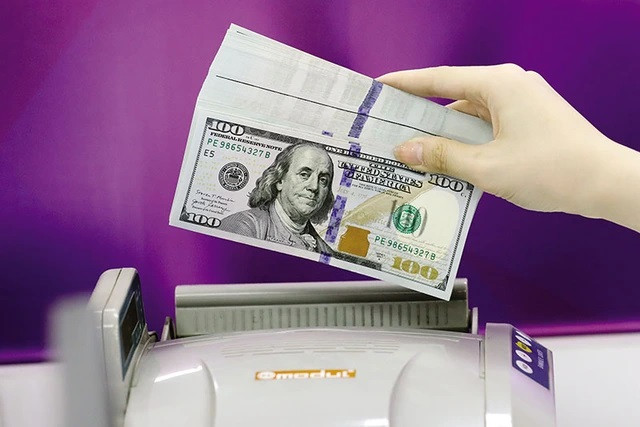 2023年胡志明市侨汇收入创下10年来新高 ảnh 1 2023年胡志明市侨汇收入创下10年来新高 ảnh 1