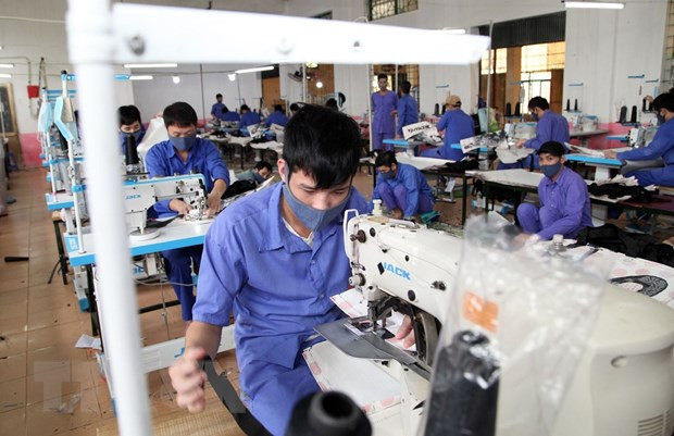 新冠肺炎疫情:需为越南社会企业推出援助计划 ảnh 1 新冠肺炎疫情:需为越南社会企业推出援助计划 ảnh 1