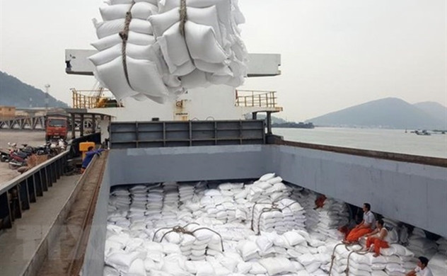 超过4000吨大米获得清关 ảnh 1