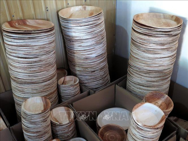 对塑料垃圾说不:槟榔树皮制品受到青睐 ảnh 1 对塑料垃圾说不:槟榔树皮制品受到青睐 ảnh 1