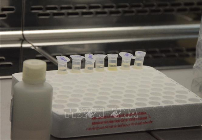 越南卫生部：暂停出口各类抗新冠病毒药物 ảnh 1