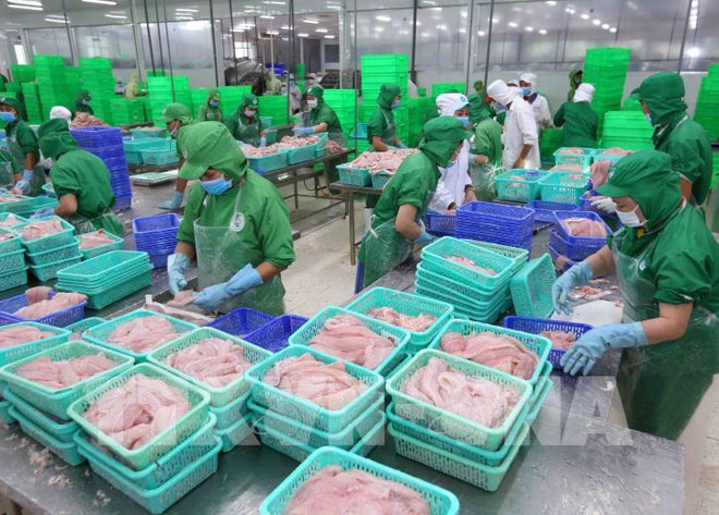查鱼企业想方设法渡过难关 ảnh 1 查鱼企业想方设法渡过难关 ảnh 1
