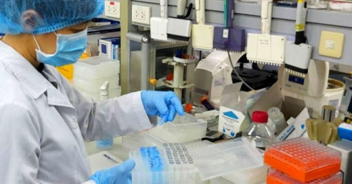 越南政府总理同意向民间企业订购新冠病毒检测服务的提议 ảnh 1