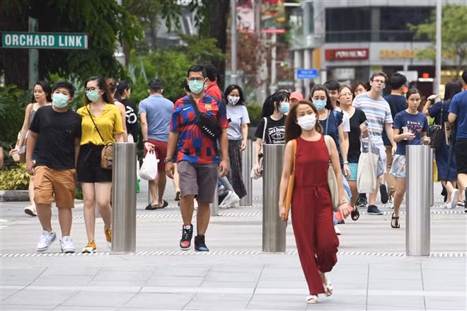 新冠肺炎疫情：新加坡单日新增728例新冠肺炎确诊病例 ảnh 1