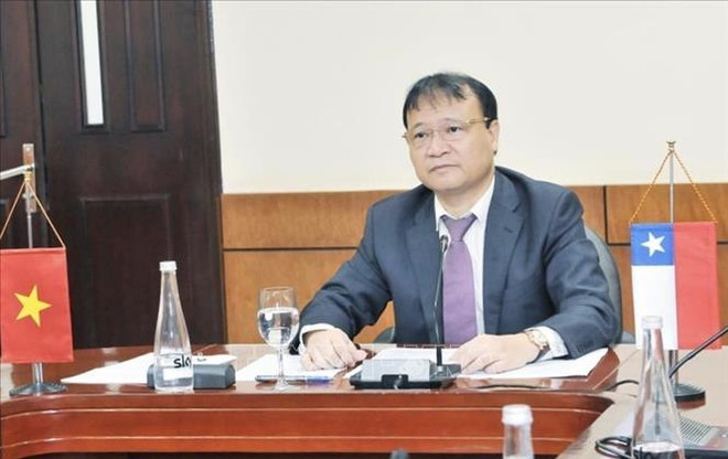 促进越南与智利的经贸合作 ảnh 1