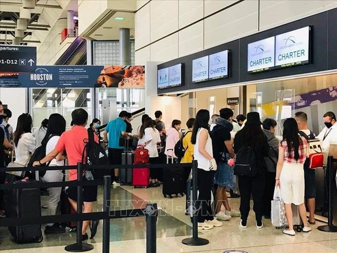 新冠肺炎疫情:在美国休斯敦的近350名越南公民已安全回国 ảnh 1 新冠肺炎疫情:在美国休斯敦的近350名越南公民已安全回国 ảnh 1