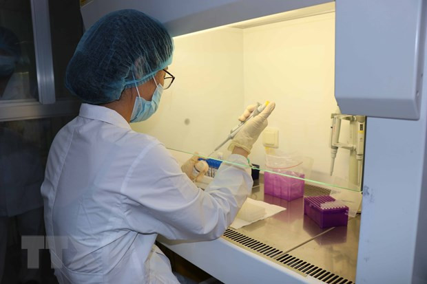 越南新增两例因重症基础疾病和感染新冠肺炎死亡的病例 ảnh 1 越南新增两例因重症基础疾病和感染新冠肺炎死亡的病例 ảnh 1