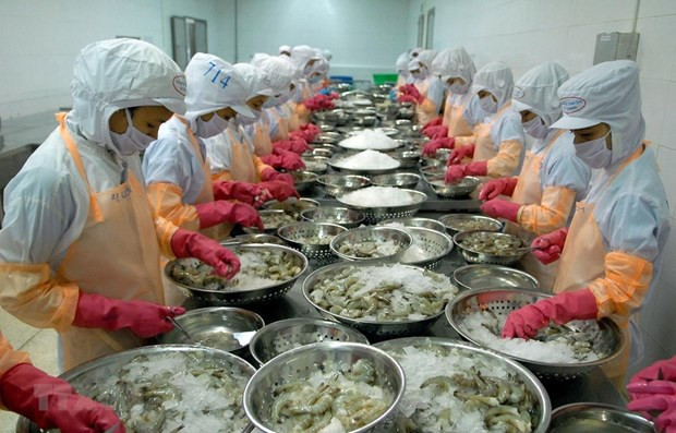 树立起越南虾类品牌形象 ảnh 1 树立起越南虾类品牌形象 ảnh 1