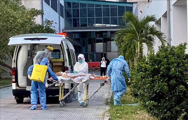 专家继续对重症新冠肺炎患者进行会诊 ảnh 1