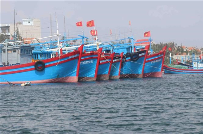 坚江省坚决禁止非法捕捞行为 ảnh 1 坚江省坚决禁止非法捕捞行为 ảnh 1