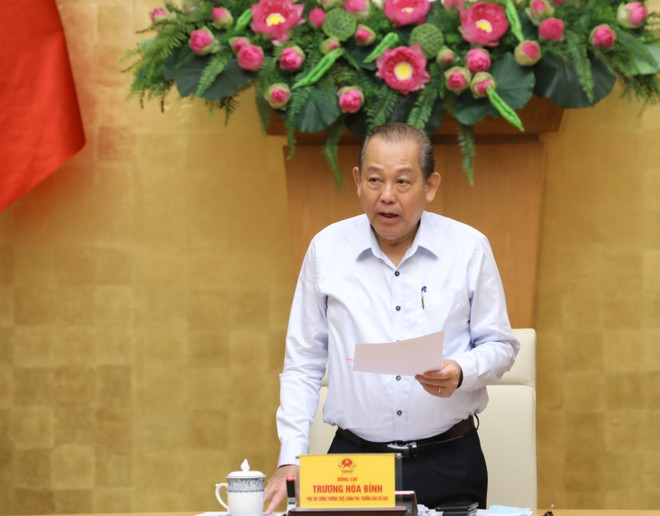 越南常务副总理张和平:加快推进国有企业股份制改造和国有资本退出进程 ảnh 1 越南常务副总理张和平:加快推进国有企业股份制改造和国有资本退出进程 ảnh 1