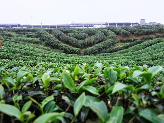 避暑胜地木州 ảnh 1 避暑胜地木州 ảnh 1