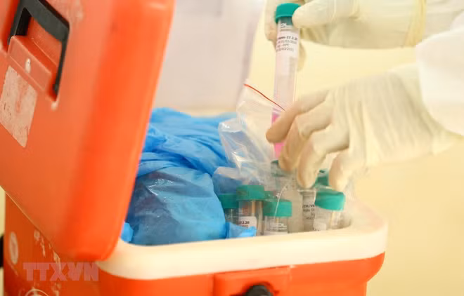 越南新增1例死亡病例 死亡病例累计11例 ảnh 1