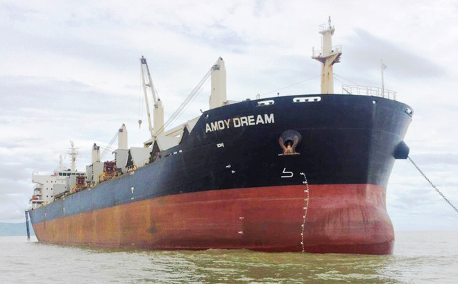 新冠肺炎疫情：对Amoy Dream货船及全部船员采取疫情防控措施 ảnh 1