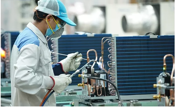 迎来新投资潮浪 ảnh 1