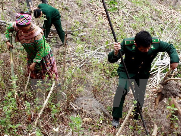 越南清化省边防部队和老挝华潘省军事指挥部加强合作 ảnh 1