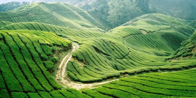 木州一天游 ảnh 2