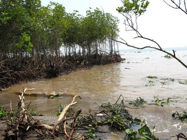 越南与国际社会携手应对气候变化 ảnh 1 越南与国际社会携手应对气候变化 ảnh 1