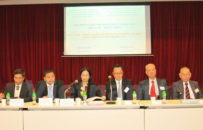 中国香港成为越南大米的主要出口市场 ảnh 1 中国香港成为越南大米的主要出口市场 ảnh 1