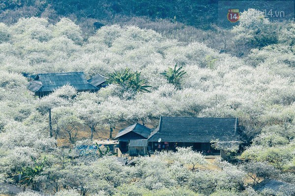木州一天游 ảnh 3 木州一天游 ảnh 3