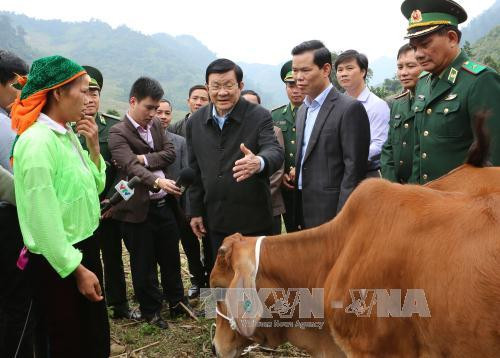 国家主席张晋创考察河江省“农家乐”旅游文化村模式 ảnh 2 国家主席张晋创考察河江省“农家乐”旅游文化村模式 ảnh 2