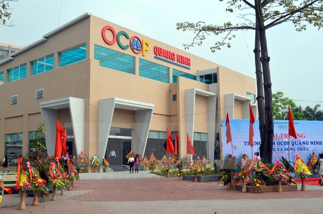 广宁省份最大“一乡一品”中心正式开业 ảnh 1 广宁省份最大“一乡一品”中心正式开业 ảnh 1