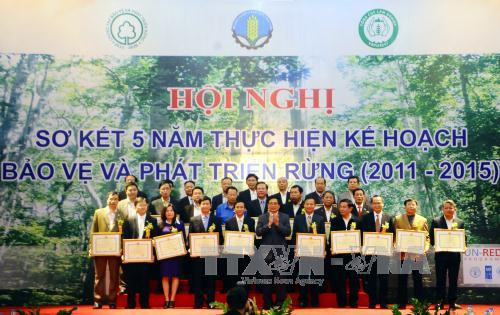 推广森林保护与发展模式 ảnh 1 推广森林保护与发展模式 ảnh 1
