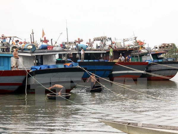 越南加强防范台风“茉莉”措施 ảnh 1 越南加强防范台风“茉莉”措施 ảnh 1