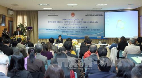 提高农业在融入国际社会新阶段的合作效益 ảnh 2 提高农业在融入国际社会新阶段的合作效益 ảnh 2