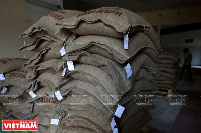 越南可可制成的Marou巧克力 ảnh 7 越南可可制成的Marou巧克力 ảnh 7