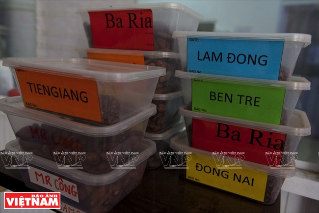 越南可可制成的Marou巧克力 ảnh 8 越南可可制成的Marou巧克力 ảnh 8