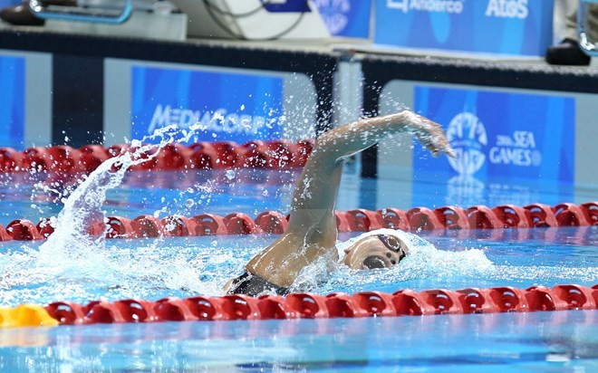 2015年亚洲蹼泳锦标赛：越南蹼泳队夺得3枚金牌 ảnh 1