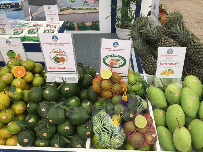 第15届越南国际农业展览会吸引400间展位参展 ảnh 2