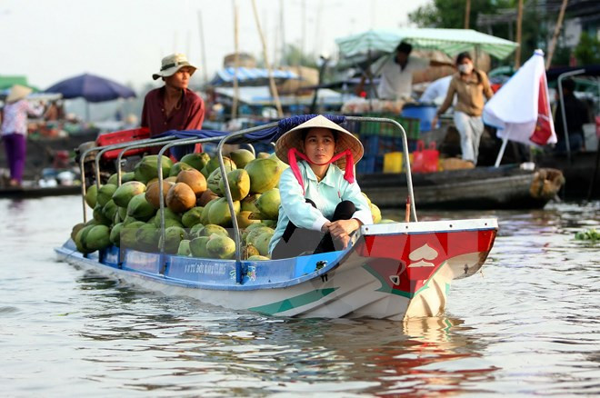 2016年富国——九龙江三角洲国家旅游年将举行丰富多彩的活动 ảnh 1 2016年富国——九龙江三角洲国家旅游年将举行丰富多彩的活动 ảnh 1