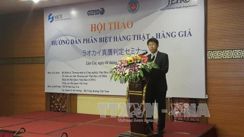 越南与日本加强知识产权保护工作的合作 ảnh 1