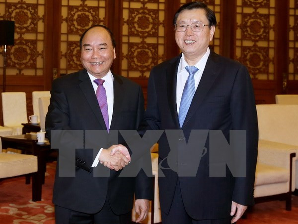 阮春福总理会见中国全国人大常委会委员长张德江 ảnh 1 阮春福总理会见中国全国人大常委会委员长张德江 ảnh 1