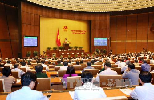 第十四届国会一次会议：递交会议第十四届国会主席、副主席及国会常委会委员等职务候选人人选名单 ảnh 1