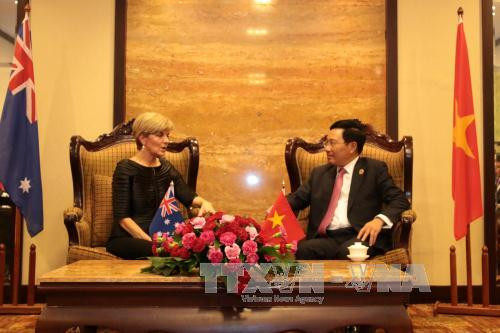 越南政府副总理兼外交部长范平明分别会见各国外长 ảnh 3 越南政府副总理兼外交部长范平明分别会见各国外长 ảnh 3