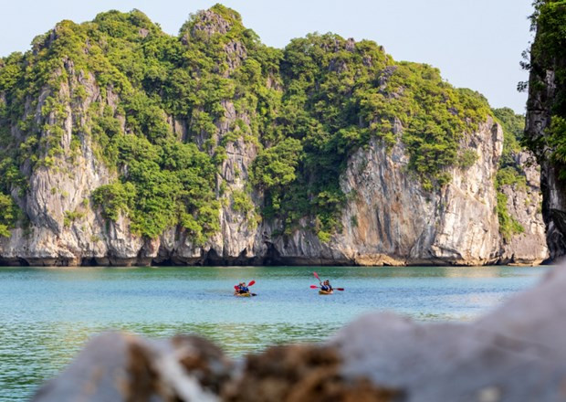 越南旅游业如何在新背景下推进数字化转型 ảnh 3