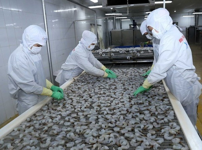 越南进一步加大水产品对巴西出口力度 ảnh 1  越南进一步加大水产品对巴西出口力度 ảnh 1