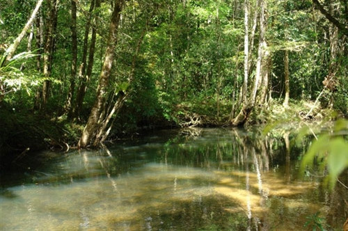 林同——美景圣地（组图） ảnh 2