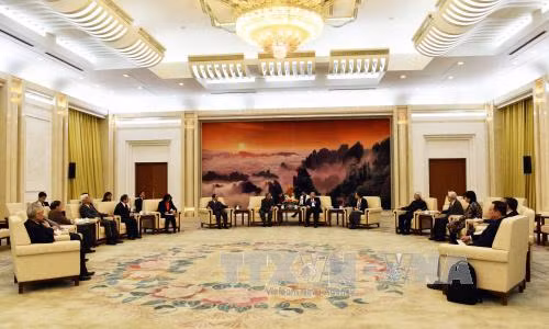 中国全国政协副主席万钢会见越南代表团 ảnh 1
