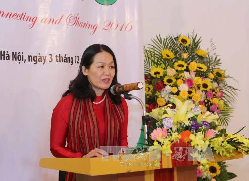 越南加强国内女性与海外越侨妇女的联系沟通 ảnh 2