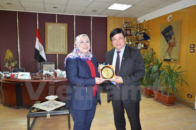 越南与埃及推动广播领域的合作 ảnh 1 越南与埃及推动广播领域的合作 ảnh 1