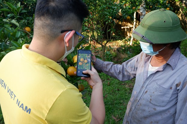 支持750万越南农户做电商 ảnh 1 支持750万越南农户做电商 ảnh 1