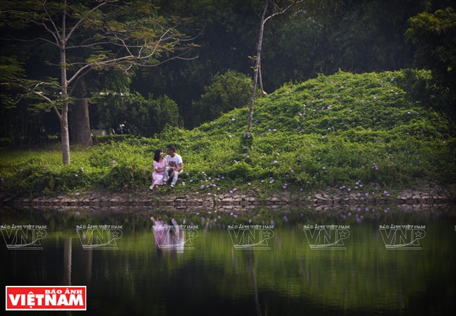 宁平省Emeralda度假区 ảnh 2 宁平省Emeralda度假区 ảnh 2