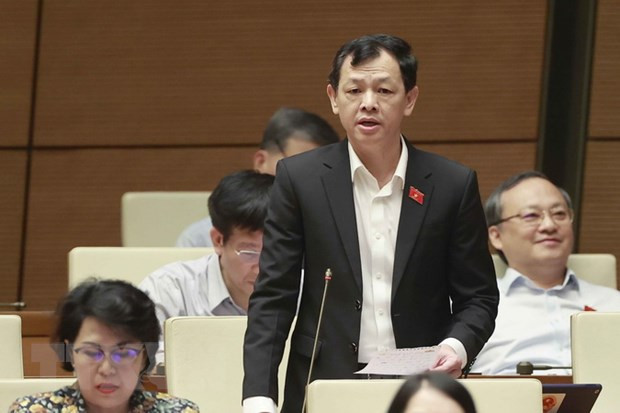 第十五届国会第六次会议：建议在河内和胡志明市投建两家质子放射治疗中心 ảnh 1