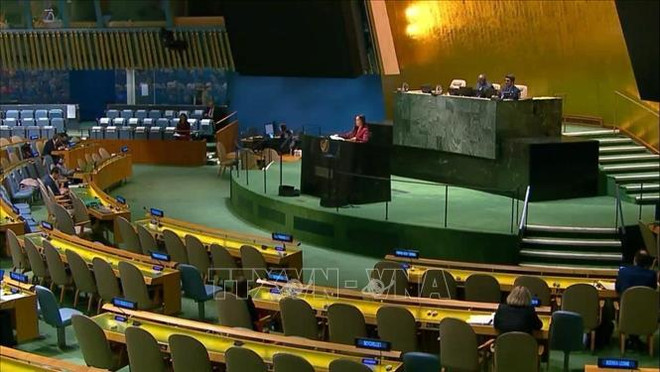 越南强调国际法院在应对气候变化方面的作用 ảnh 1