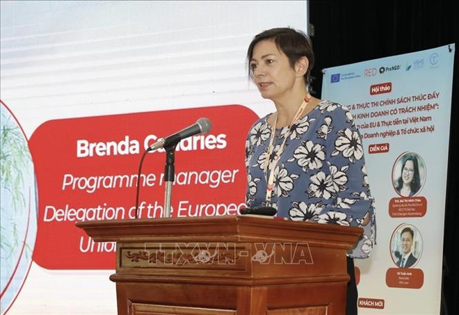 在越南倡导实施负责任的商业行为政策 ảnh 2 在越南倡导实施负责任的商业行为政策 ảnh 2